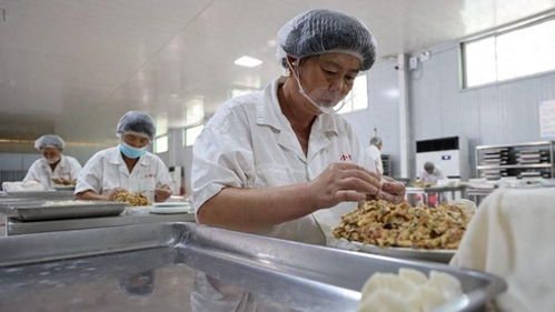 马云回归创立马家厨房，日本海鲜预制菜引发网友热议